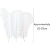 WhatsApp-Image-2025-05-28-at-13.20.05-2.jpeg Real Natural White Ostrich Feathers (Pack of 2)