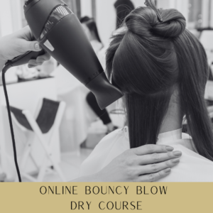 Online Bouncy Blow Dry Course